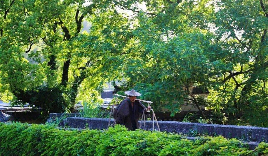 深入解读正宗的猪脚姜在广州的哪些店铺可以吃到?,一站式知识星球平台